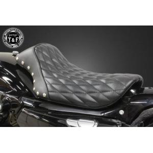 STING R＆D スティングアールアンドディー フロントフェンダー ZZR1100