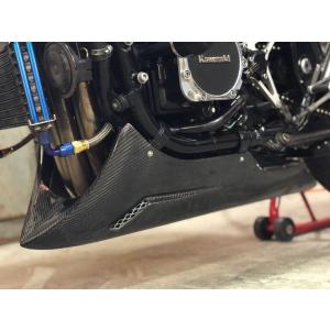 VERTIA ヴェルティア アンダーカウル タイプ：Carbonステー付き Z900RS