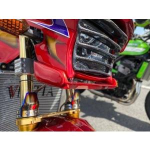 VERTIA ヴェルティア フラップスポイラー タイプ：FRP ZRX1200DAEG