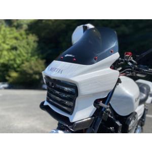 VERTIA ヴェルティア ライトルーバー タイプ：FRP ZRX1200DAEG