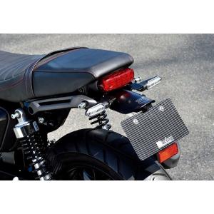 WirusWin ウイルズウィン フェンダーレスキット GB350S CB350RS