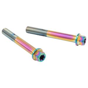 PLOT プロト プロトブレンボ ステンレスキャリパーマウントボルト カラー：チタン色 キャリパーボ...