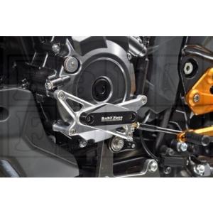 Puig プーチ リヤフェンダー(Rear Fenders) カラー：マット