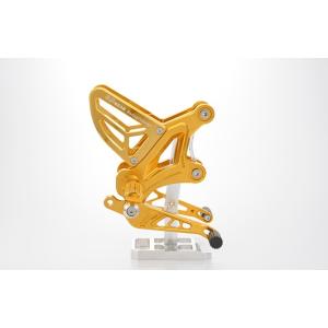 r’s gear アールズギア アクティブスポーツ レーシングコンセプト ライディングステップ カラ...