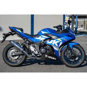 WR'S（ダブルアールズ） WR'S リアエキゾースト スリップオンマフラー