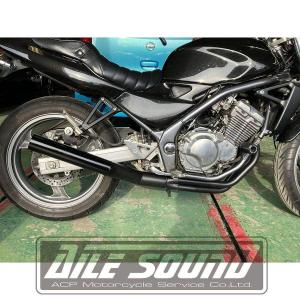 WirusWin（ウイルズウィン） ファーストマフラー バーグマン200 SUZUKI