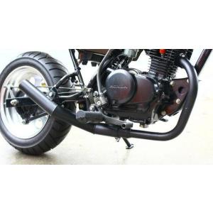 エイプ50 FI 車用 Z2タイプ ロング テールカウル : エーシーピー二輪