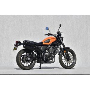WirusWin（ウイルズウィン） メガホンマフラー 【フルエキゾースト