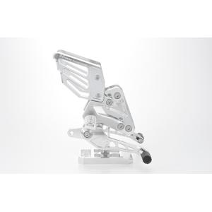 r’s gear アールズギア アクティブスポーツ レーシングコンセプト ライディングステップ カラ...