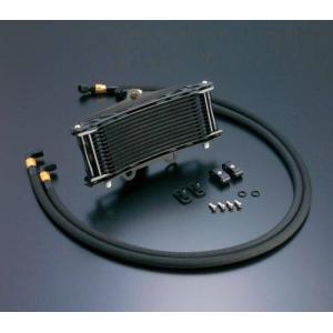 7月25日入荷予定 受付中】アクティブ ゼファー750/750RS オイル