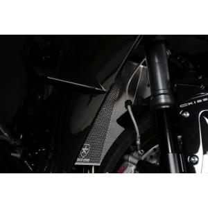 TRICKSTAR トリックスター ラジエターコアガード 表面仕上げ：ブラックメッキ H2 SX S...