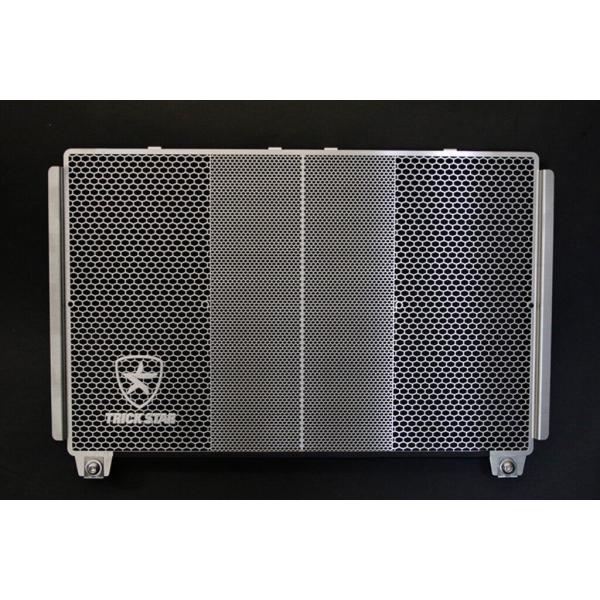 TRICKSTAR トリックスター ラジエターコアガード 表面仕上げ：ステンレスシルバー Ninja...