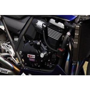 TG中川 ティージーナカガワ ヘッドバイパスラインキット ZX10 ZX11 ZRX1100 ZRX...