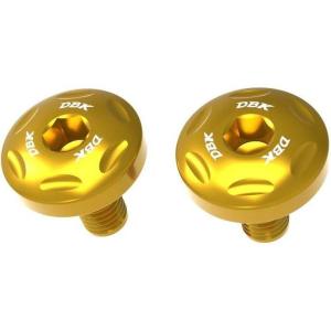 DUCABIKE (DBK) ドゥカバイク (ディービーケー) タンクカバー用 ボルトキット カラー...