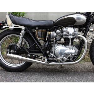 WirusWin（ウイルズウィン） シャープマフラー TW200 TW225E YAMAHA