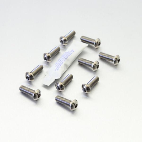 PRO BOLT プロボルト ディスクボルト カラー：ナチュラル F800S K1200GT K12...