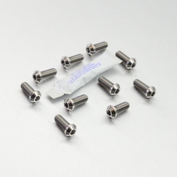 PRO BOLT プロボルト ディスクボルト カラー：ナチュラル 1098S 1098 1198S ...
