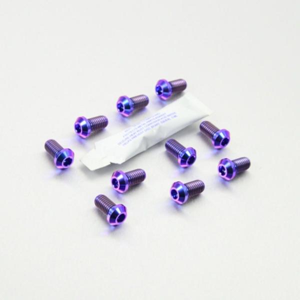 PRO BOLT プロボルト ディスクボルト カラー：パープル 749R 999R S 999 Hy...