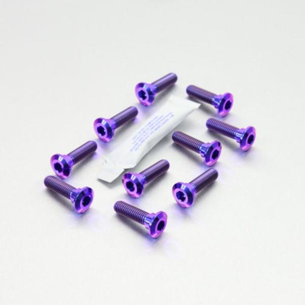 PRO BOLT プロボルト ディスクボルト カラー：パープル KAWASAKI カワサキ SUZU...