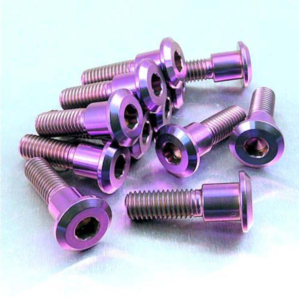 PRO BOLT プロボルト ディスクボルト カラー：パープル Daytona 900 Super ...
