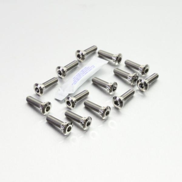 PRO BOLT プロボルト ディスクボルト カラー：ナチュラル KAWASAKI カワサキ ロータ...