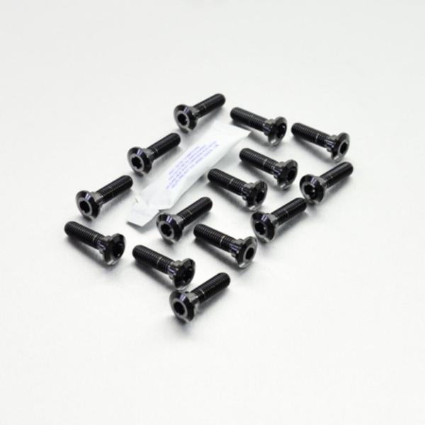 PRO BOLT プロボルト ディスクボルト カラー：ブラック KAWASAKI カワサキ ローター...