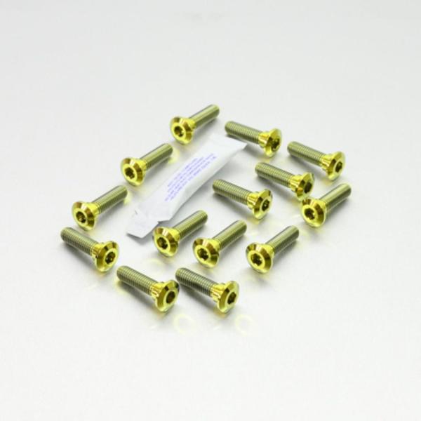 PRO BOLT プロボルト ディスクボルト カラー：ゴールド KAWASAKI カワサキ ローター...