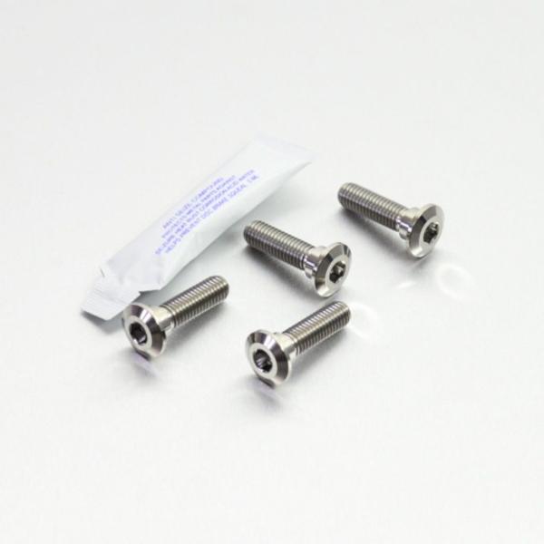 PRO BOLT プロボルト ディスクボルト カラー：ナチュラル KAWASAKI カワサキ ロータ...