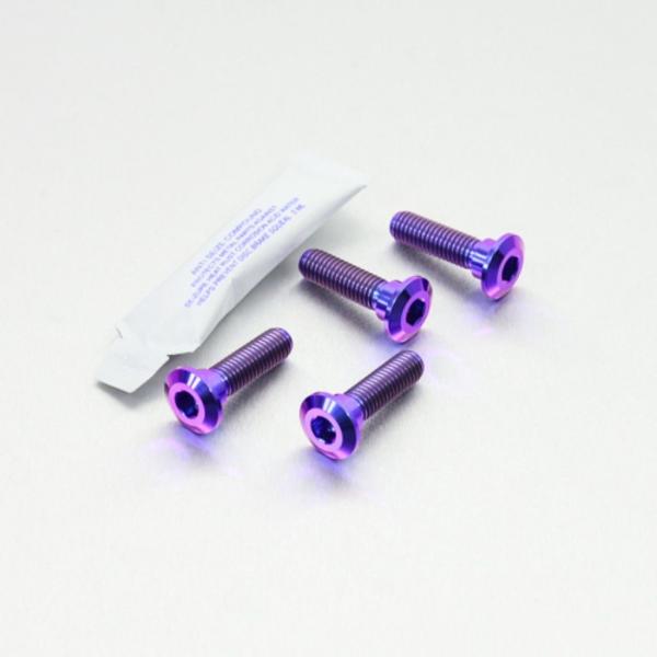 PRO BOLT プロボルト ディスクボルト カラー：パープル KAWASAKI カワサキ ローター...