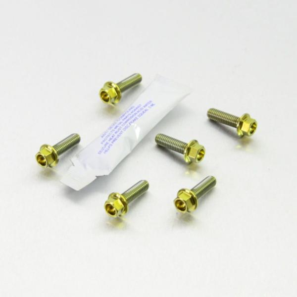 PRO BOLT プロボルト ディスクボルト カラー：ゴールド RS4 50 Tuono 125 A...