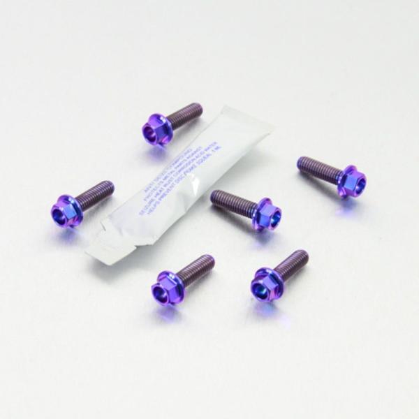 PRO BOLT プロボルト ディスクボルト カラー：パープル RS4 50 Tuono 125 A...