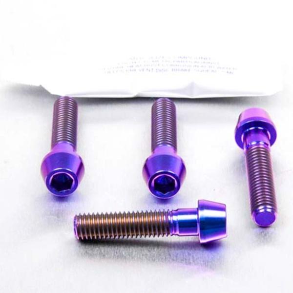 PRO BOLT プロボルト フロントキャリパーピンチボルトセット カラー：パープル RS125 R...