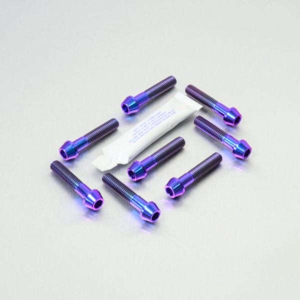 PRO BOLT プロボルト フロントキャリパーピンチボルトセット カラー：パープル APRILIA...