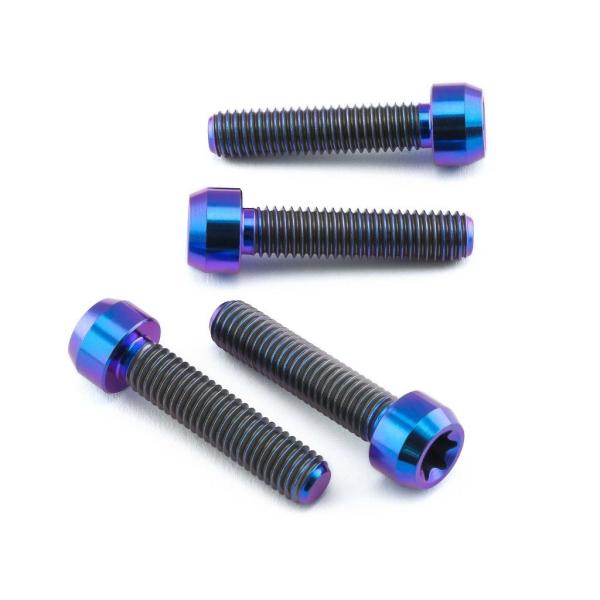 PRO BOLT プロボルト フロントキャリパーピンチボルトセット カラー：パープル RS4 125...