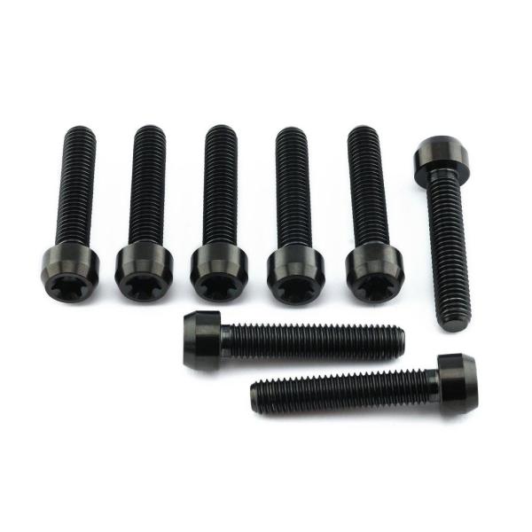 PRO BOLT プロボルト フロントキャリパーピンチボルトセット カラー：ブラック APRILIA...