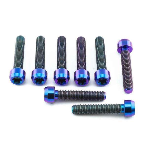 PRO BOLT プロボルト フロントキャリパーピンチボルトセット カラー：パープル APRILIA...