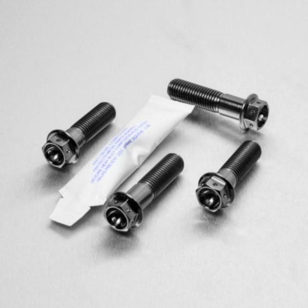 PRO BOLT プロボルト フロントブレーキキャリパーマウンティングボルトキット カラー：ブラック...