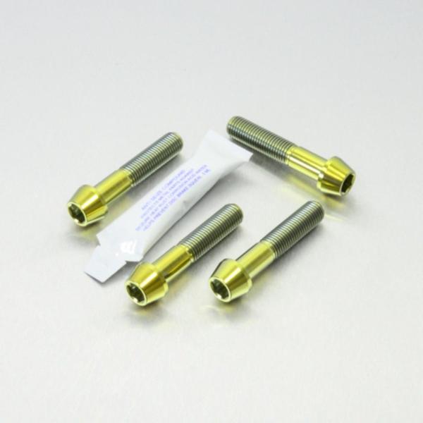 PRO BOLT プロボルト フロントブレーキキャリパーマウンティングボルトキット カラー：ゴールド...