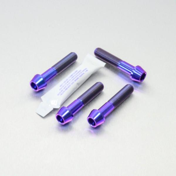 PRO BOLT プロボルト フロントブレーキキャリパーマウンティングボルトキット カラー：パープル...
