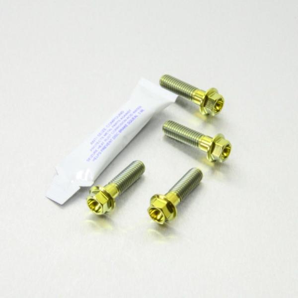 PRO BOLT プロボルト フロントブレーキキャリパーマウンティングボルトキット カラー：ゴールド...