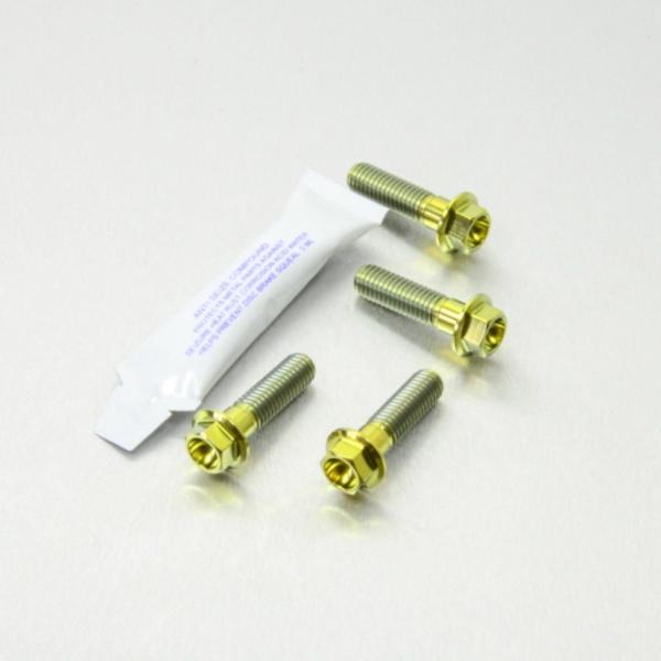 PRO BOLT プロボルト フロントブレーキキャリパーマウンティングボルトキット カラー：ゴールド...