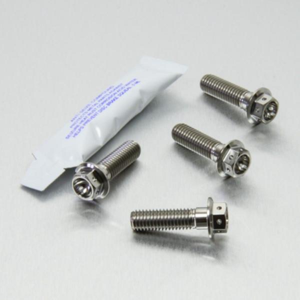 PRO BOLT プロボルト フロントブレーキキャリパーマウンティングボルトキット カラー：ナチュラ...