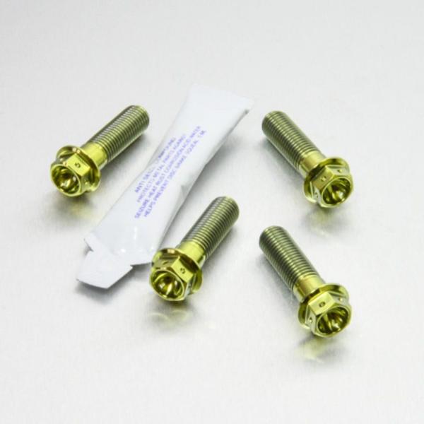 PRO BOLT プロボルト フロントブレーキキャリパーマウンティングボルトキット カラー：ゴールド...