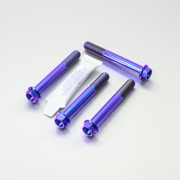 PRO BOLT プロボルト フロントブレーキキャリパーマウンティングボルトキット カラー：パープル...