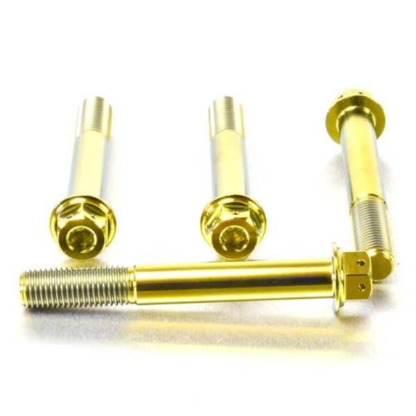 PRO BOLT プロボルト フロントブレーキキャリパーマウンティングボルトキット カラー：ゴールド...