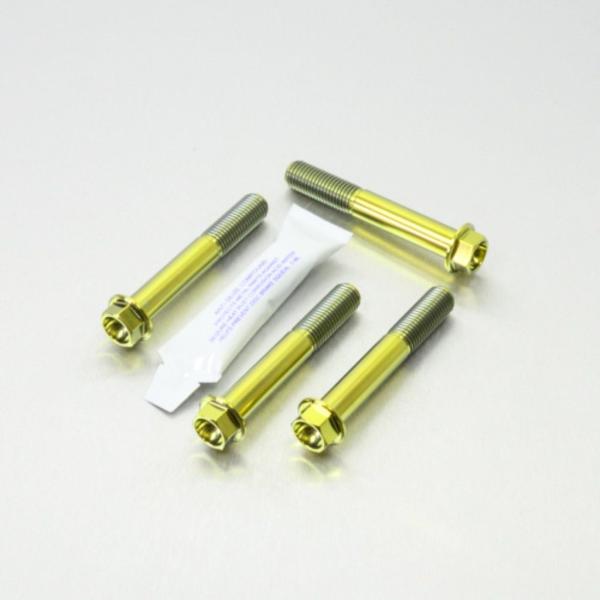 PRO BOLT プロボルト フロントブレーキキャリパーマウンティングボルトキット カラー：ゴールド...
