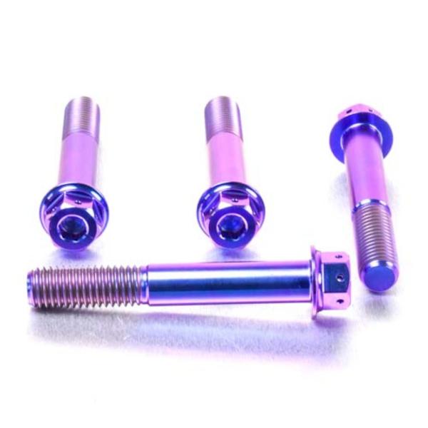 PRO BOLT プロボルト フロントブレーキキャリパーマウンティングボルトキット カラー：パープル...