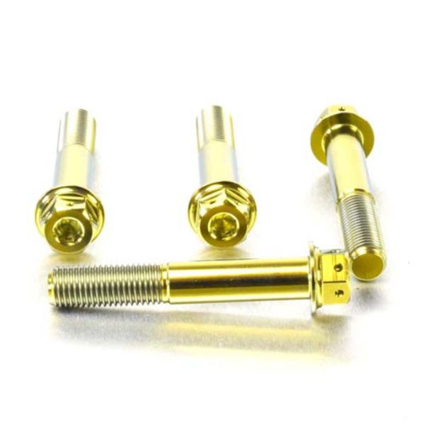 PRO BOLT プロボルト フロントブレーキキャリパーマウンティングボルトキット カラー：ゴールド...