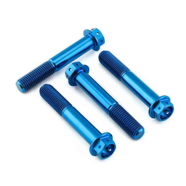 PRO BOLT プロボルト フロントブレーキキャリパーマウンティングボルトキット カラー：ブルー ...