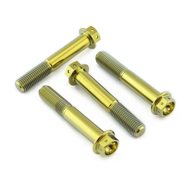 PRO BOLT プロボルト フロントブレーキキャリパーマウンティングボルトキット カラー：ゴールド...